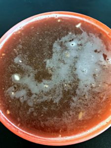 Drumstick Sambar